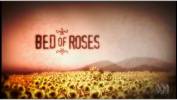 Legend of the Seeker Bed of roses 